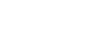Beyond the Face